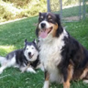 Meet your Posher, Deb